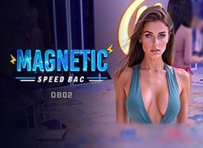 Magnectic Speed Bac OB02
