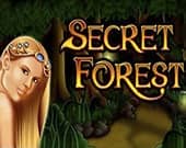 Secret Forest