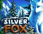 Silver Fox