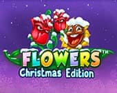 Flowers Christmas